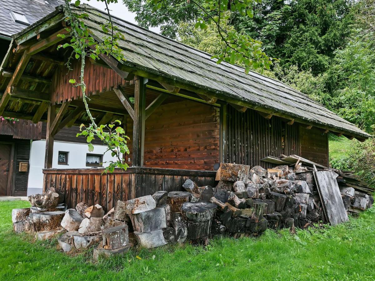 Holiday Home In Arriach Near Lake Ossiach Luaran gambar