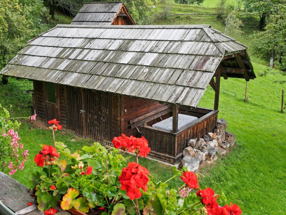 Holiday Home In Arriach Near Lake Ossiach Luaran gambar